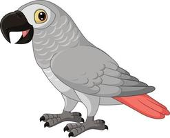 Cartoon Congo Grey Parrot on White Background vector