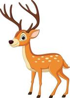 Cartoon funny deer on white background vector