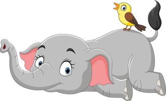 Cute elephant cartoon lying down with bird vector