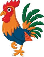 Cartoon funny rooster on white background vector