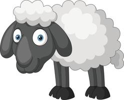 Cartoon sheep on white background vector