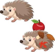 Cartoon two hedgehog with red apple, autumn leaves and mushroom vector