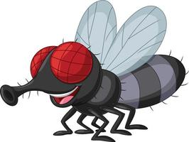 Cartoon house fly isolated on white background vector