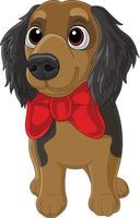 cavalier king charles spaniel con pajarita roja vector