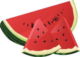 isolated red watermelon slice illustration vector