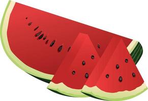 watermelon slice in isolated vector