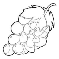 Grape icon, outline style vector