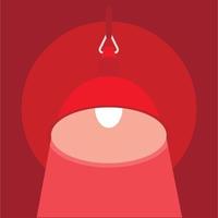 Big ceiling lamp icon, flat style vector