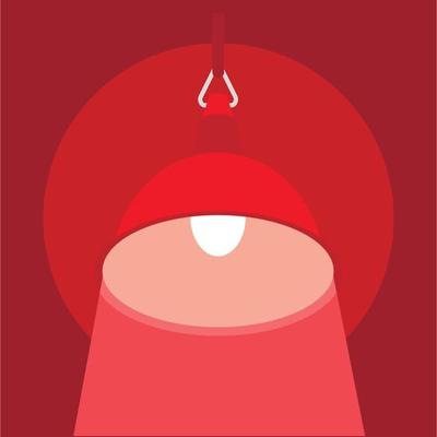 Big ceiling lamp icon, flat style