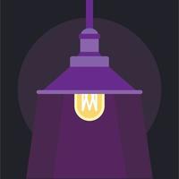 Hanging lantern icon, flat style vector