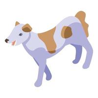 Cute dotted dog icon isometric vector. Spa bath vector