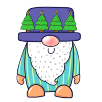 gnome et chapeau de noël png