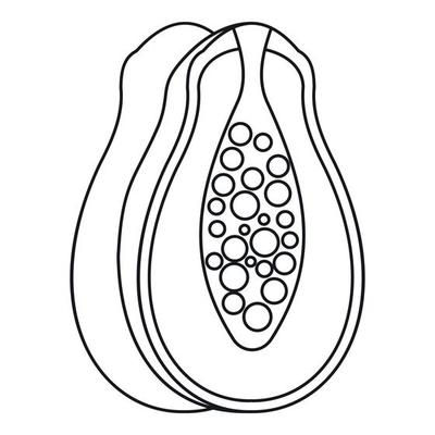 Papaya Outline Vector Art, Icons, and Graphics for Free Download