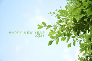 'HAPPY NEW YEAR 2023' in green color with ficus branches and leaves background, concept for greeting invitation card and happy new year 2023, happy life. photo