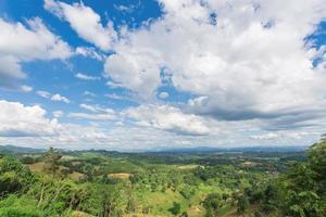 Panoramic view of vast tropical forest in Thailand photo