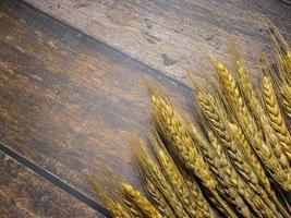 wheat on wood table for food concept photo