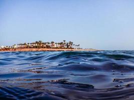 vistas a la playa con palmeras durante el esnórquel en el mar rojo foto