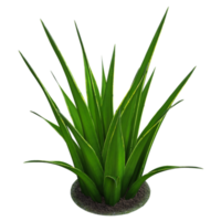 grön växt 3d -rendering png