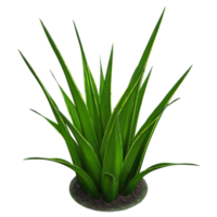 rendu 3d de la plante verte png