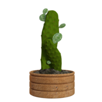 3d Cactus isolated premium png