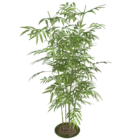 planta verde renderização 3d png