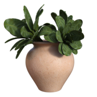 rendu 3d de la plante verte png