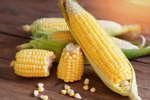 maíz fresco sobre fondo de madera, cosecha de maíz maduro orgánico, maíz en la mazorca, maíz dulce para cocinar alimentos