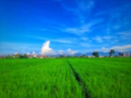resumen desenfocado borroso del paisaje de los campos de arroz en la isla de lombok, indonesia foto