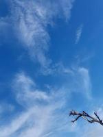 fondo natural. cielo azul con fondo de nubes hinchadas foto
