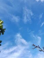 Natural background. Blue sky with puffy clouds background photo