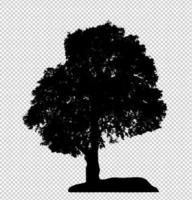 Tree silhouette on transparent background with clipping path and alpha photo