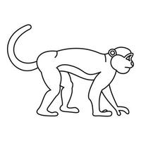 Mandrill monkey icon, outline style vector