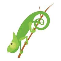 Walking chameleon icon, cartoon style vector