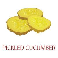 Pickled cucumber icon, isometric style vector