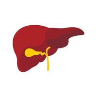 Liver icon, flat style vector