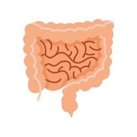 Intestines icon, flat style vector