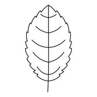 Beautiful leaf icon, outline style vector