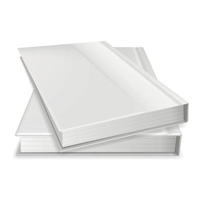 Two diaries icon, realistic style