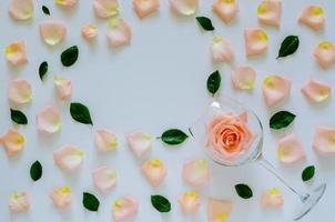 Pink rose in wine glass with its petals and leaves on white background and heart shape space for text for Valentine day. Flat lay top view background concept. photo