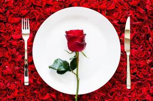 Red rose put on white plate with knife and fork on red rose background for dining, anniversary and Valentine day concept. photo