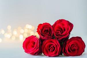 Selective focus of red roses on white background with bokeh light for anniversary, mother and Valentine day concept. photo
