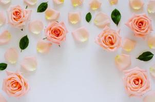 Pink roses on white background with space for text for Valentine day. Flat lay top view background concept. photo