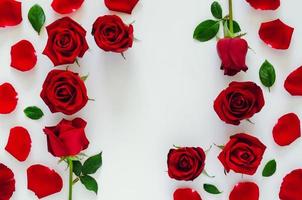 Red roses with its petals and leaves put on white background with square shape space for Valentine day. Flat lay background concept. photo