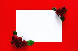 papel blanco vacío para texto con rosas rojas de dos coner sobre fondo rojo para el día de san valentín. foto