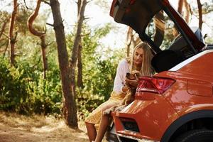 se sienta en la parte trasera del coche. mujer con su perro al aire libre en el bosque diviértete foto