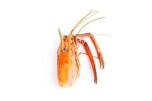 one shrimp head And shrimp shells, food scraps, leftovers, waste, natural seafood. lunch. dinner isolated on white background photo