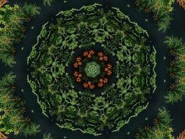 Black abstract kaleidoscope background with leaves ornament for christmas vibes pattern photo