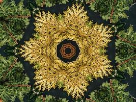 Black abstract kaleidoscope background with leaves ornament for christmas vibes pattern photo