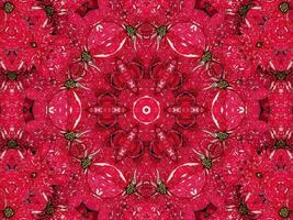 Red floral kaleidoscope background abstract unique and symmetric pattern for christmas vibes photo