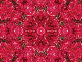 Red floral kaleidoscope background abstract unique and symmetric pattern for christmas vibes photo